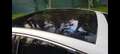 Ford Mondeo 2.0 TDCi Start-Stopp PowerShift-Aut Titanium Wit - thumbnail 5