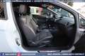 Ford Fiesta ST200 EDITION 1.6 3p ST 200 cv Grau - thumbnail 41