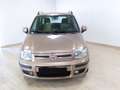 Fiat Panda 2ª serie 1.2 Dynamic GPL Bej - thumbnail 2
