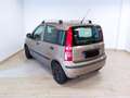 Fiat Panda 2ª serie 1.2 Dynamic GPL Bej - thumbnail 6