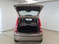 Fiat Panda 2ª serie 1.2 Dynamic GPL Bej - thumbnail 15