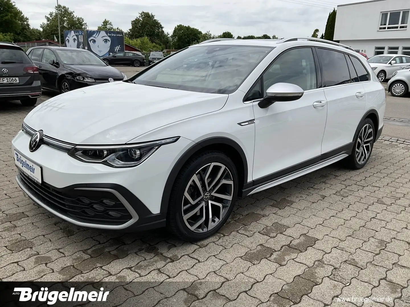 Volkswagen Golf Golf VIII Alltrack 2.0 TDI DSG 4M.+ACC+NAVI+PANO Bianco - 2