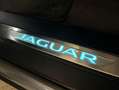 Jaguar F-Pace D300 AWD R-Dynamic SE 90th Anniversary Edit Grau - thumbnail 19