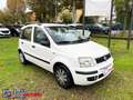 Fiat Panda 1.2 Dynamic Eco Bianco - thumbnail 1