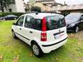 Fiat Panda 1.2 Dynamic Eco Bianco - thumbnail 4