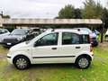 Fiat Panda 1.2 Dynamic Eco Bianco - thumbnail 2