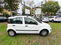 Fiat Panda 1.2 Dynamic Eco Bianco - thumbnail 3