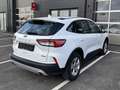 Ford Kuga 2,5 Duratec PHEV Cool & Connect*AHK* Weiß - thumbnail 6