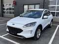 Ford Kuga 2,5 Duratec PHEV Cool & Connect*AHK* Weiß - thumbnail 10