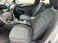 Ford Kuga 2,5 Duratec PHEV Cool & Connect*AHK* Weiß - thumbnail 13