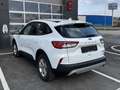 Ford Kuga 2,5 Duratec PHEV Cool & Connect*AHK* Weiß - thumbnail 4