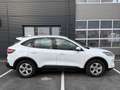 Ford Kuga 2,5 Duratec PHEV Cool & Connect*AHK* Weiß - thumbnail 7