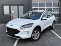 Ford Kuga 2,5 Duratec PHEV Cool & Connect*AHK* Weiß - thumbnail 1