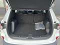 Ford Kuga 2,5 Duratec PHEV Cool & Connect*AHK* Weiß - thumbnail 24