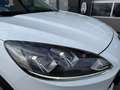 Ford Kuga 2,5 Duratec PHEV Cool & Connect*AHK* Weiß - thumbnail 25