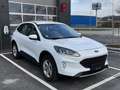 Ford Kuga 2,5 Duratec PHEV Cool & Connect*AHK* Weiß - thumbnail 8