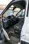 Ford Transit Lang und Hochdach - thumbnail 6