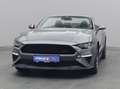 Ford Mustang GT Cabrio V8 California Special -21%* Grau - thumbnail 48