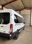 Ford Transit Bus Ford Transit 2.0 TDCi | Rollstuhlgerecht Weiß - thumbnail 4