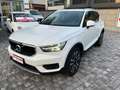 Volvo XC40 XC40 2.0 d3 Business Plus awd geartronic my20 Bianco - thumbnail 1