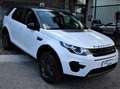 Land Rover Discovery Sport Discovery Sport 2.0 ed4 Pure 2wd 150cv my19 Blanc - thumbnail 4