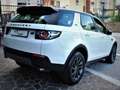 Land Rover Discovery Sport Discovery Sport 2.0 ed4 Pure 2wd 150cv my19 Blanc - thumbnail 5