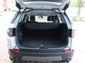 Land Rover Discovery Sport Discovery Sport 2.0 ed4 Pure 2wd 150cv my19 Blanc - thumbnail 7