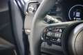 Honda HR-V e:HEV 1.5 Hybrid Advance Plus Paket Grau - thumbnail 14