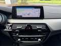 BMW 525 5-serie 525D 231PK HIGH EXECUTIVE LUXURY LINE Gris - thumbnail 15