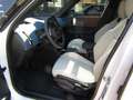 MINI Countryman C 1.5 48V FAVOURED,TETTO,LED,HUD,PELLE,AZIENDALE Blanc - thumbnail 19