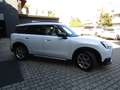 MINI Countryman C 1.5 48V FAVOURED,TETTO,LED,HUD,PELLE,AZIENDALE Weiß - thumbnail 3