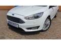 Ford Focus Titanium 1.5 EB Automatik Leder Xenon Schiebedach Blanco - thumbnail 4