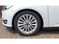 Ford Focus Titanium 1.5 EB Automatik Leder Xenon Schiebedach Blanc - thumbnail 24