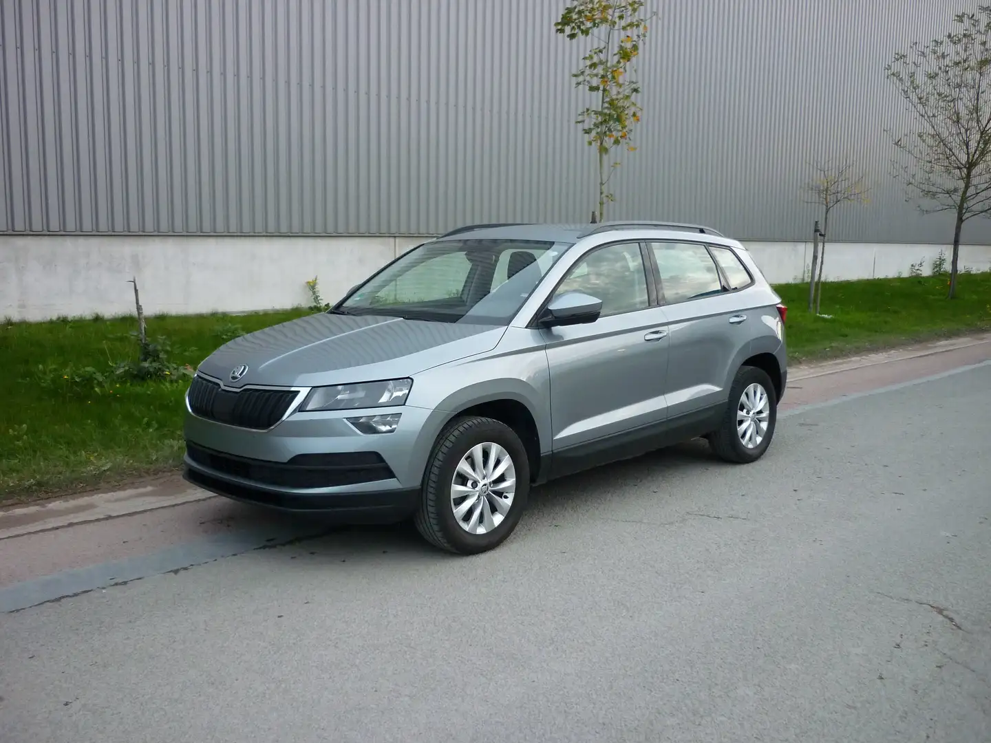 Skoda Karoq 1.0 TSi, Camera, Navi, !!! GARANTIE Серый - 1