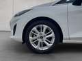 Ford Fiesta 1.0 EcoBoost Hybrid S&S Aut. TITANIUM Bianco - thumbnail 22