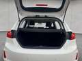 Ford Fiesta 1.0 EcoBoost Hybrid S&S Aut. TITANIUM Bianco - thumbnail 4