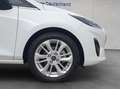 Ford Fiesta 1.0 EcoBoost Hybrid S&S Aut. TITANIUM Bianco - thumbnail 23