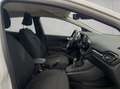 Ford Fiesta 1.0 EcoBoost Hybrid S&S Aut. TITANIUM Bianco - thumbnail 17