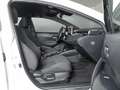 Toyota Corolla 1.8 HYBRID ACTIVE TECH E-CVT 5P Blanco - thumbnail 24