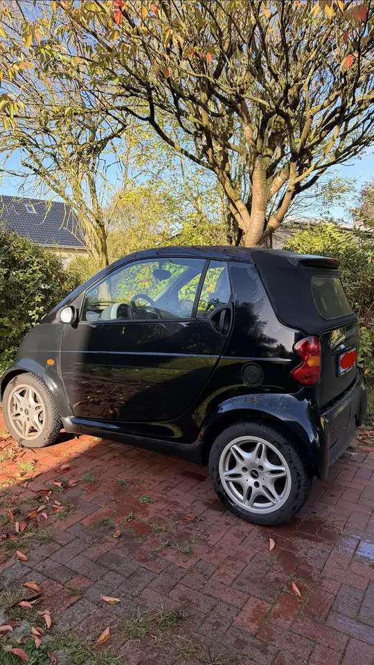 smart forTwo Basis — photo 1 of 12