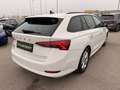 Skoda Octavia Combi Business 2,0 TDI Ambition Weiß - thumbnail 5