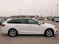 Skoda Octavia Combi Business 2,0 TDI Ambition Weiß - thumbnail 4