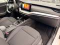 Skoda Octavia Combi Business 2,0 TDI Ambition Weiß - thumbnail 25