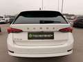 Skoda Octavia Combi Business 2,0 TDI Ambition Weiß - thumbnail 6