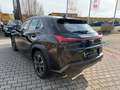 Lexus UX 250h Luxury Line LED, Navi, 360°Kamera, HUD Zwart - thumbnail 5