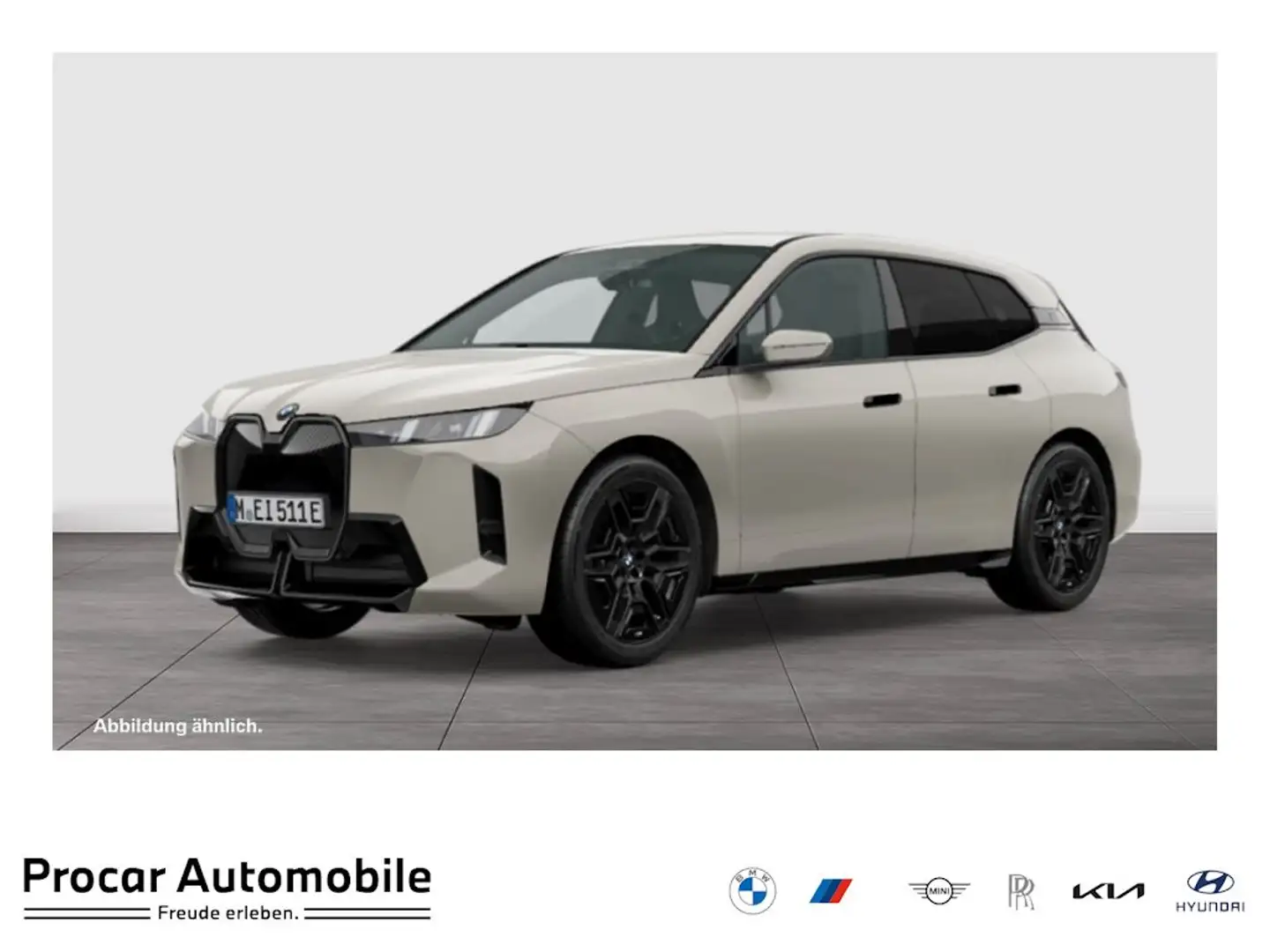 BMW iX xDrive45 M-Sportpaket * Aktive Sitzbelüftung vorn Gris - 1