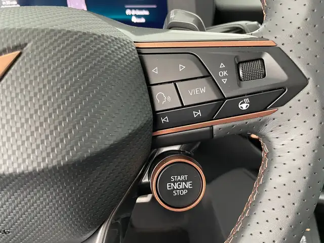 Cupra Terramar view 15