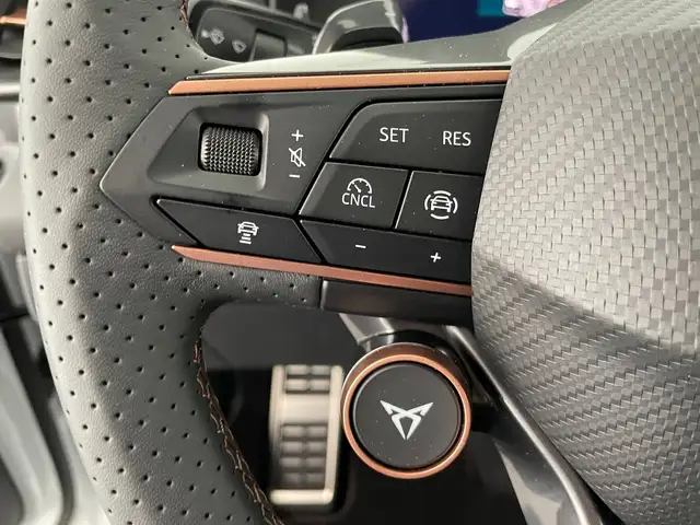 Cupra Terramar view 14