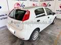 Fiat Punto 5p 13 MJ 75CV N1 Bianco - thumbnail 2