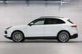 Porsche Cayenne III E-Hybrid PHEV 17,9 kWh Platinum Edition Aut. - thumbnail 5